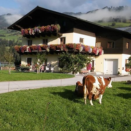 Rieserhof/Fam. Meissnitzer タクセンバッハ エクステリア 写真