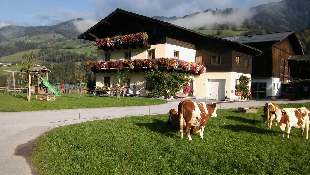 Rieserhof/Fam. Meissnitzer タクセンバッハ エクステリア 写真