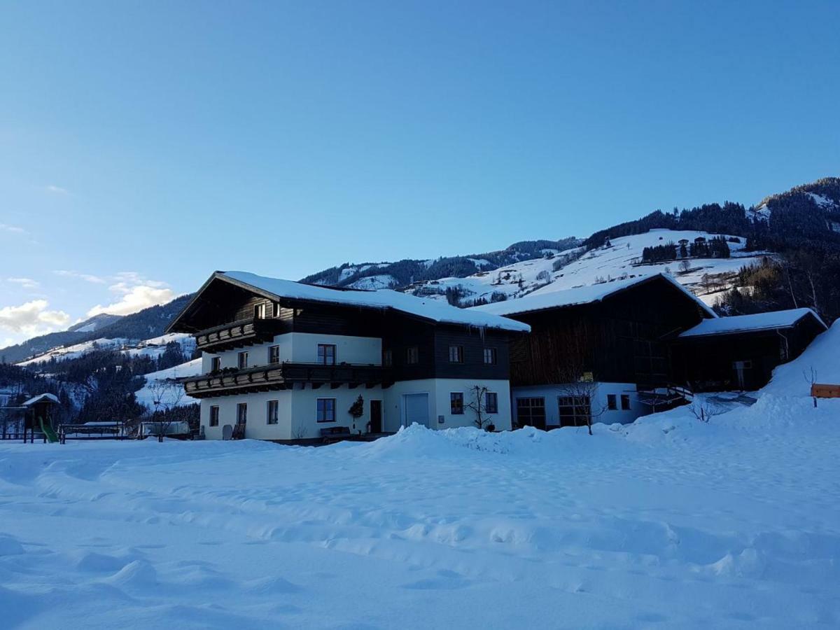 Rieserhof/Fam. Meissnitzer タクセンバッハ エクステリア 写真