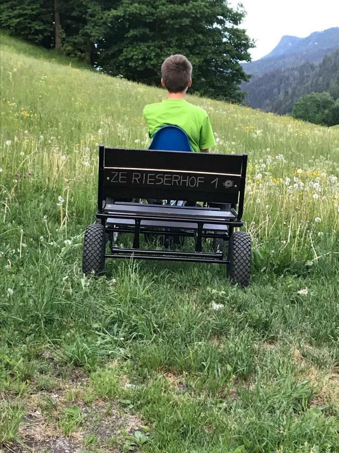 Rieserhof/Fam. Meissnitzer タクセンバッハ エクステリア 写真