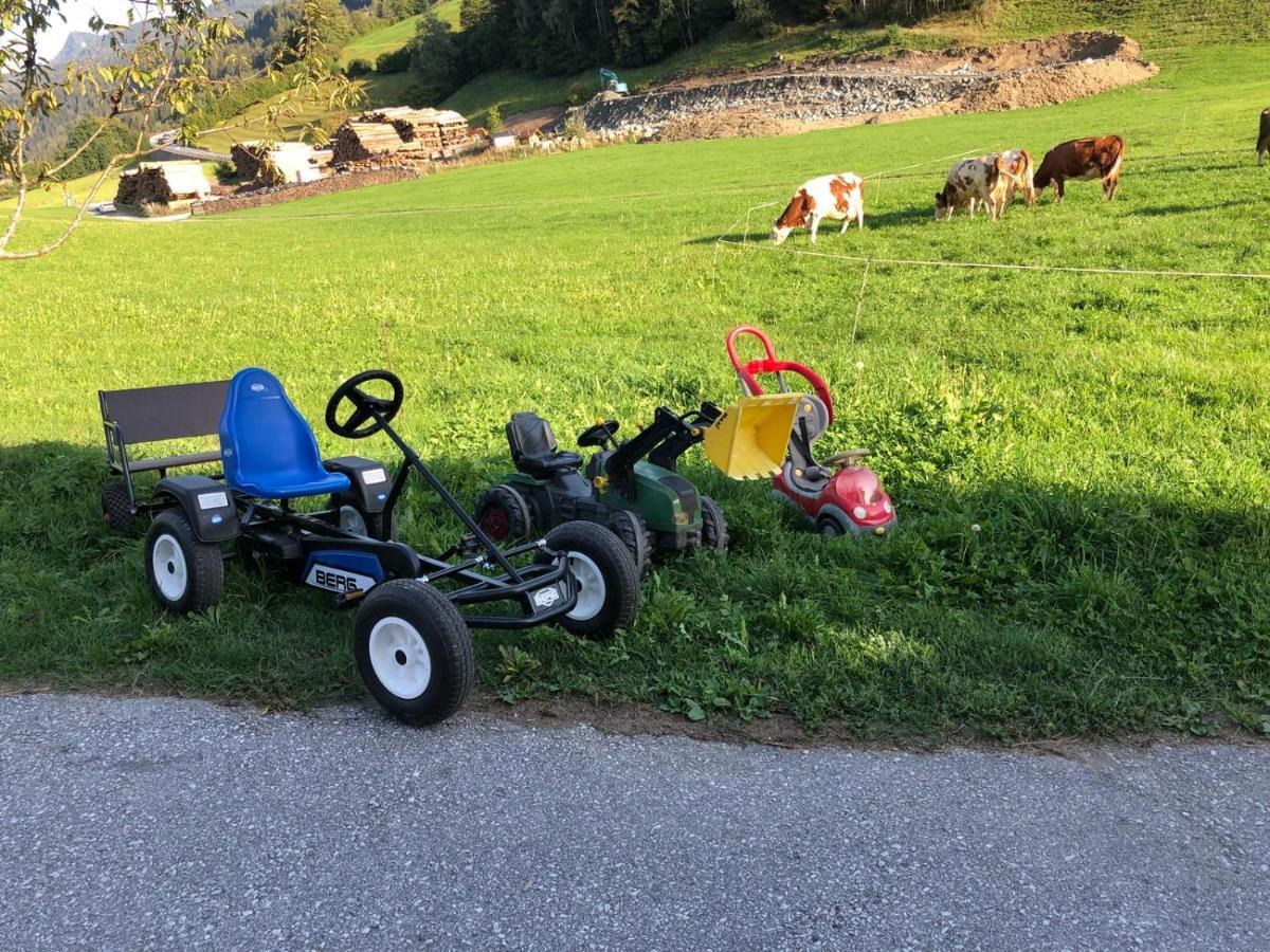 Rieserhof/Fam. Meissnitzer タクセンバッハ エクステリア 写真