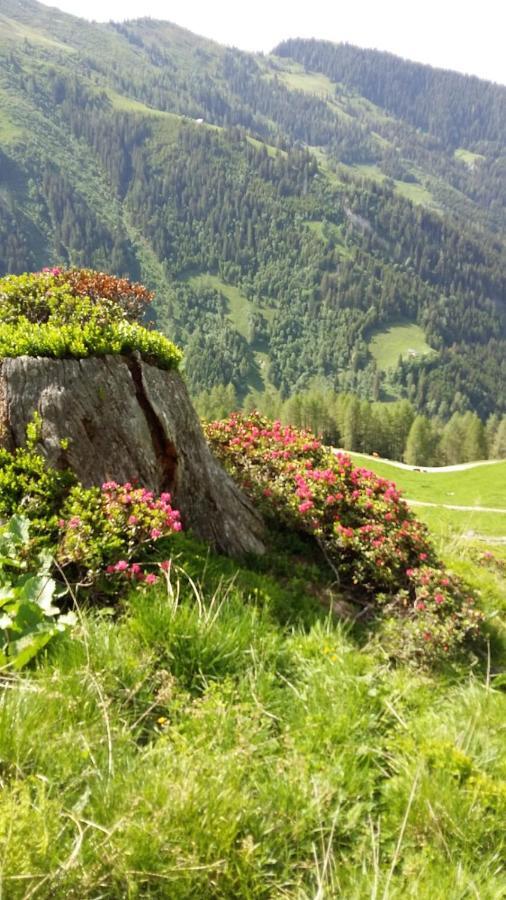Rieserhof/Fam. Meissnitzer タクセンバッハ エクステリア 写真
